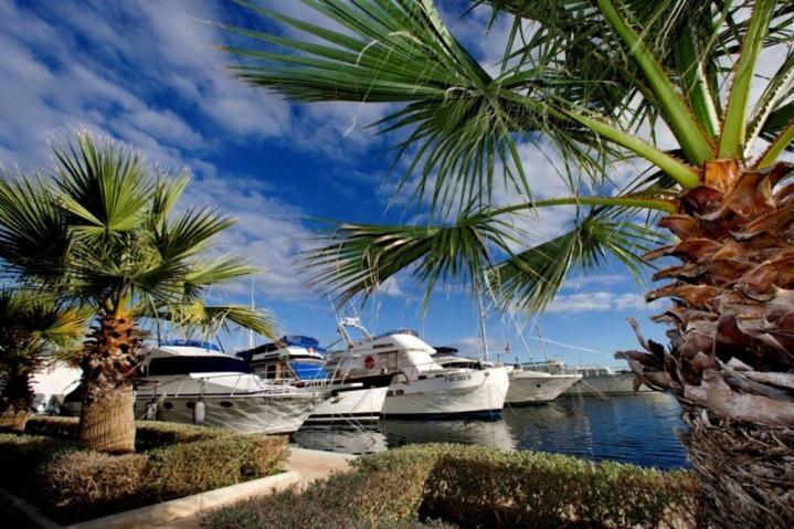 Boutique Apartman Villa Mediteran Poreč Dış mekan fotoğraf